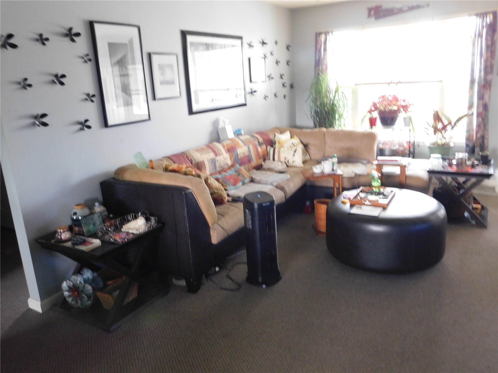 508 E Preston Street Stanwood IA 52337