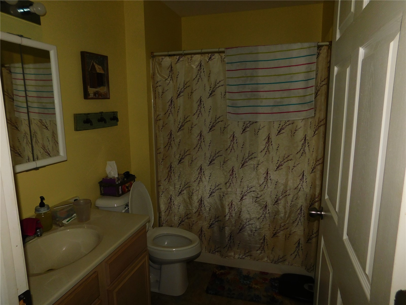 508 E Preston Street Stanwood IA 52337