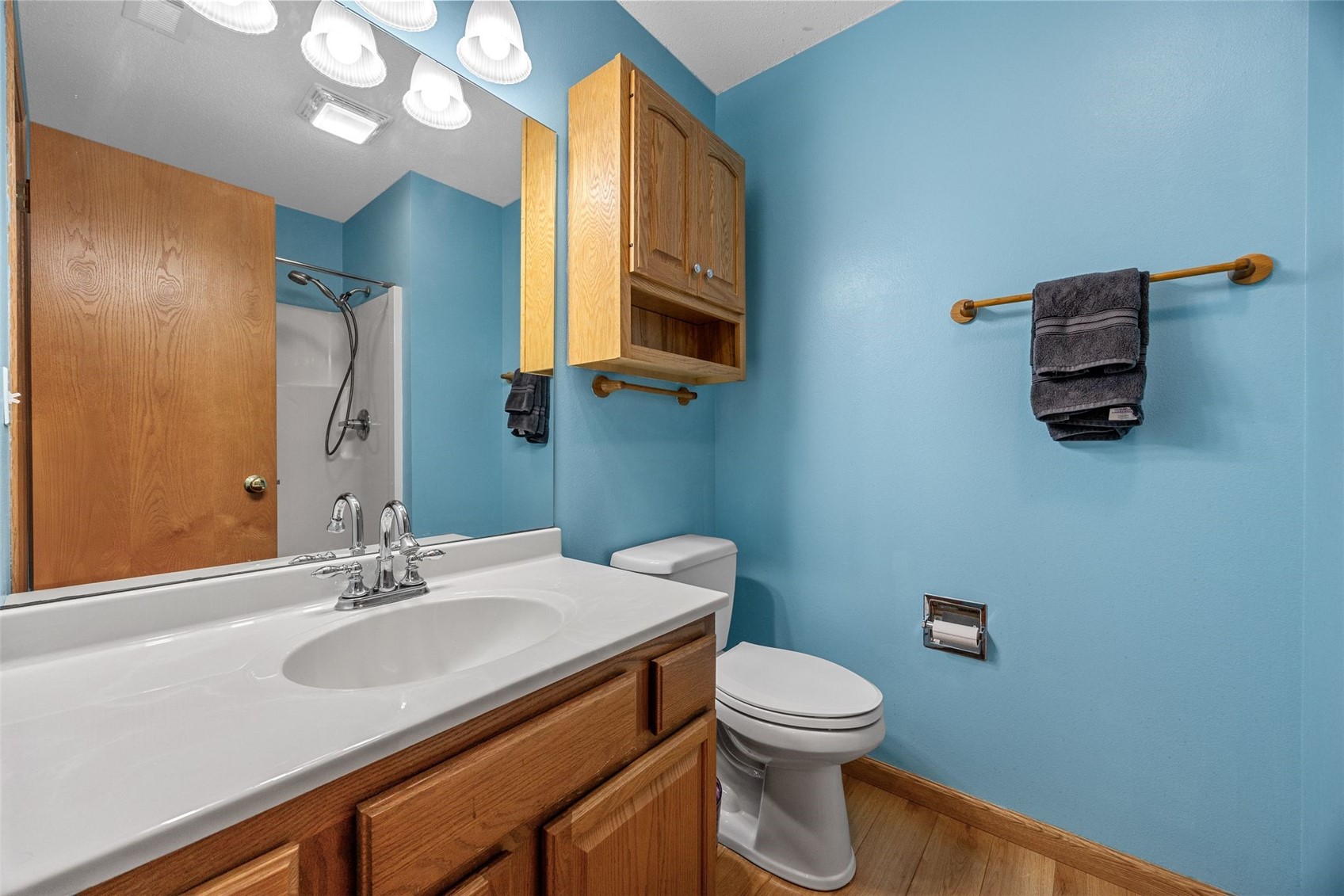 4590 Snowgoose Court Marion IA 52302