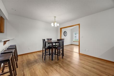 4590 Snowgoose Court Marion IA 52302