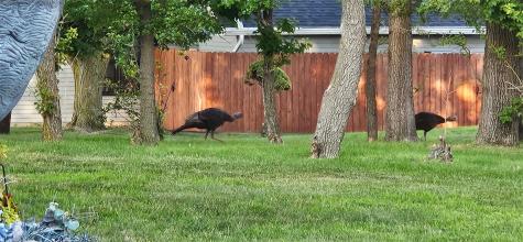 815 Edward Court SE Cedar Rapids IA 52403
