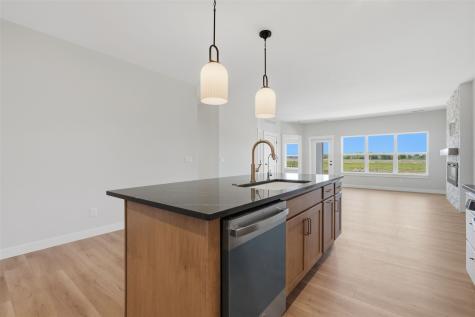 325 Dutch Drive Robins IA 52328