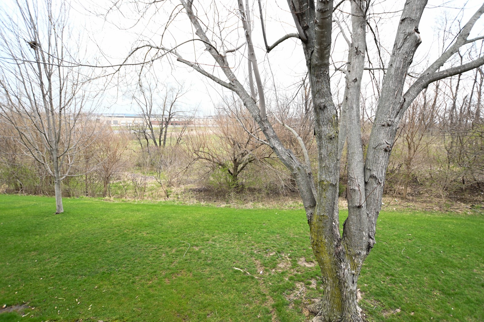 3860 Deer Valley Drive Marion IA 52302