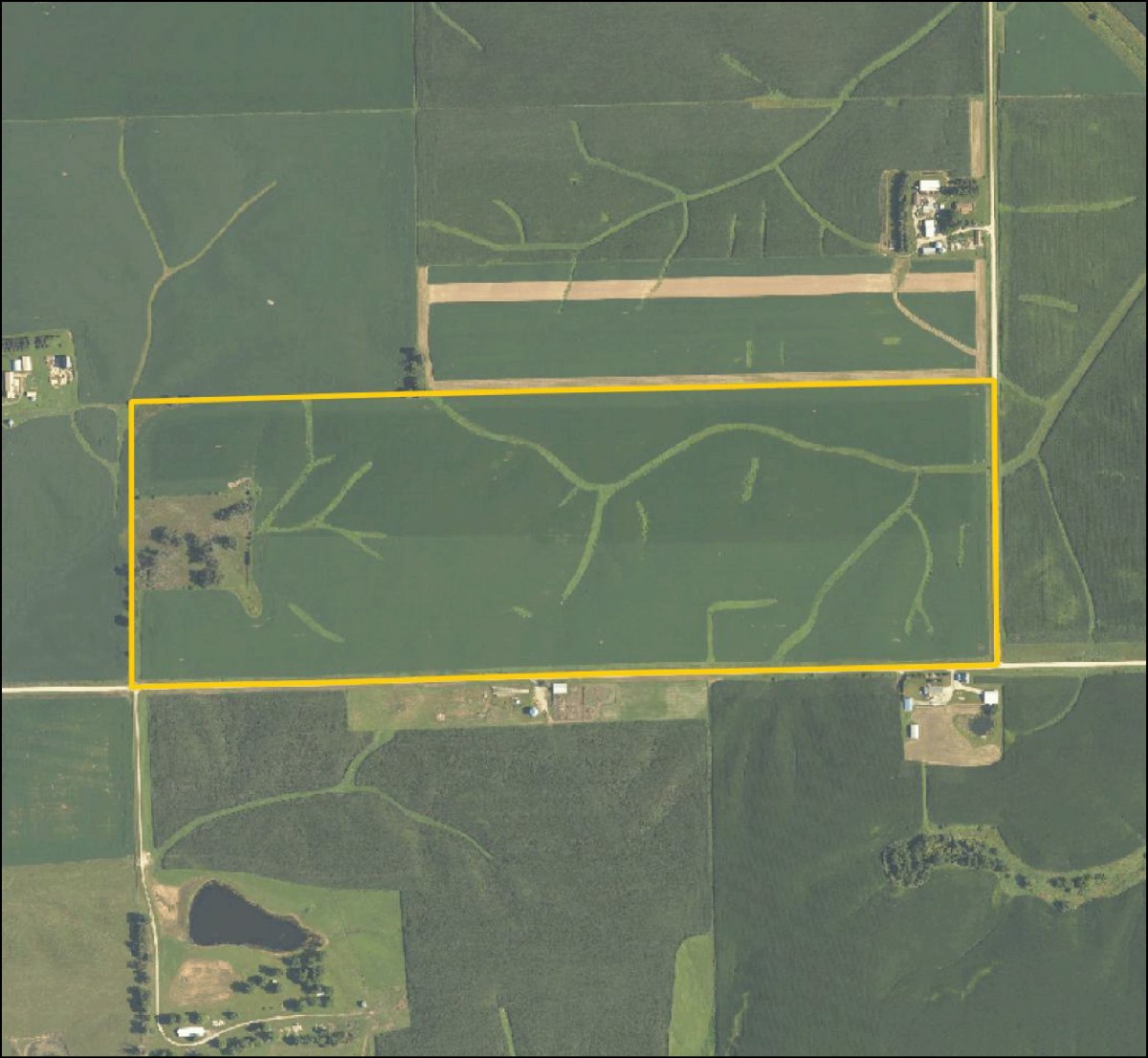 250TH St. & Rose Avenue Tipton IA 52772