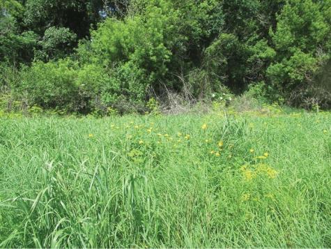 170TH Street Greeley IA 52050