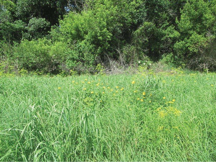170TH Street Greeley IA 52050