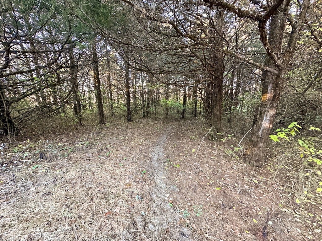 Wendy Oaks Road Central City IA 52214