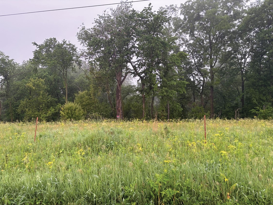Roling Road Worthington IA 52078