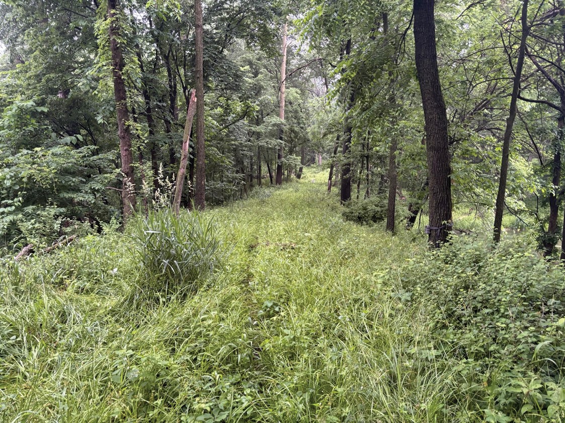 Roling Road Worthington IA 52078