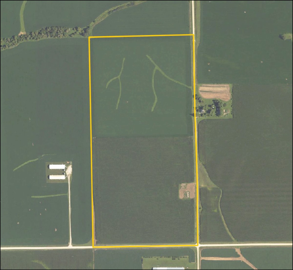 1487 Ocean Avenue Tipton IA 52772