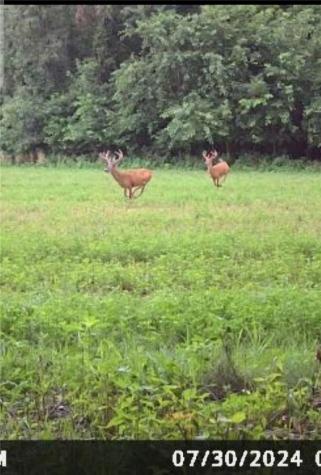 31 Acres N Center Point Road Center Point IA 52213