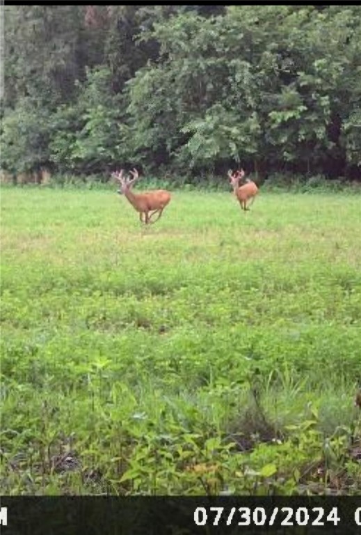 31 Acres N Center Point Road Center Point IA 52213