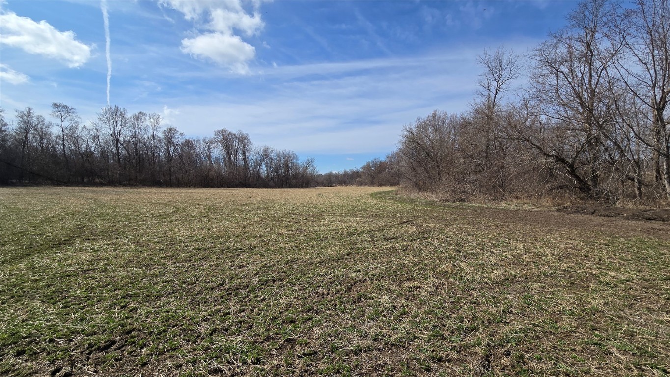 31 Acres N Center Point Road Center Point IA 52213