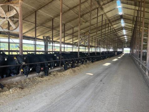 1350 Waubeek Road Central City IA 52214