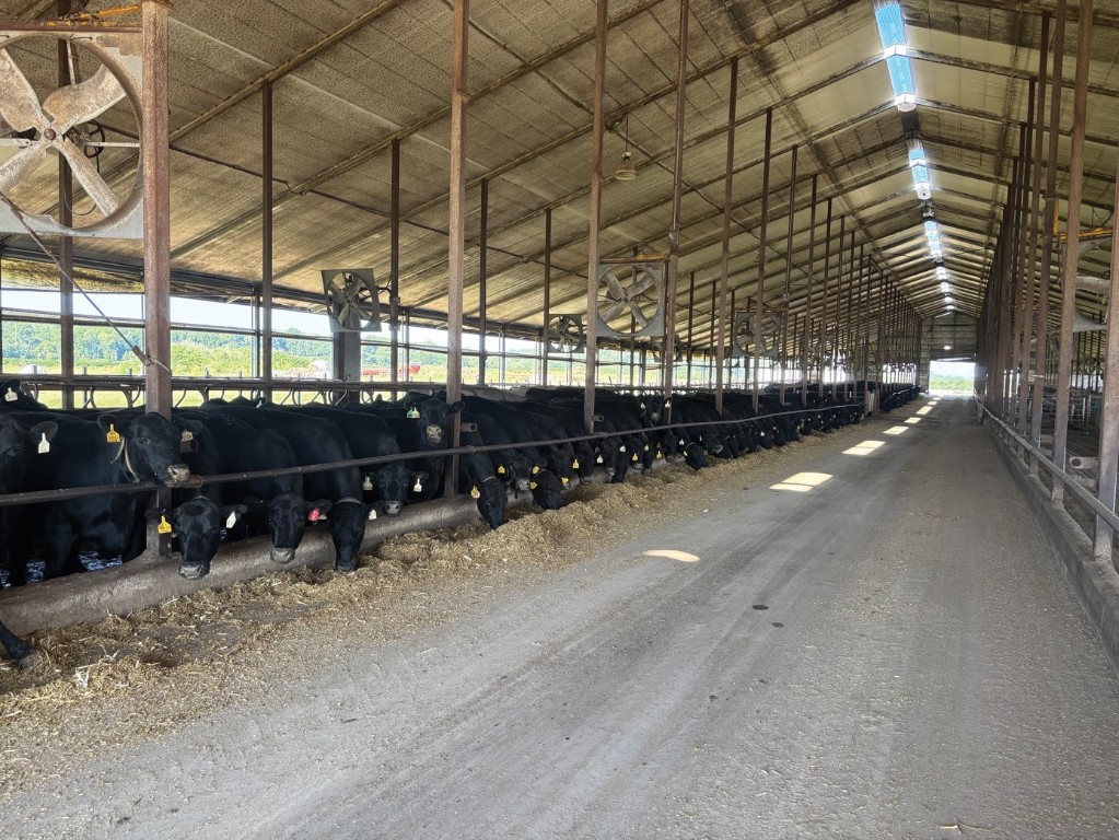 1350 Waubeek Road Central City IA 52214