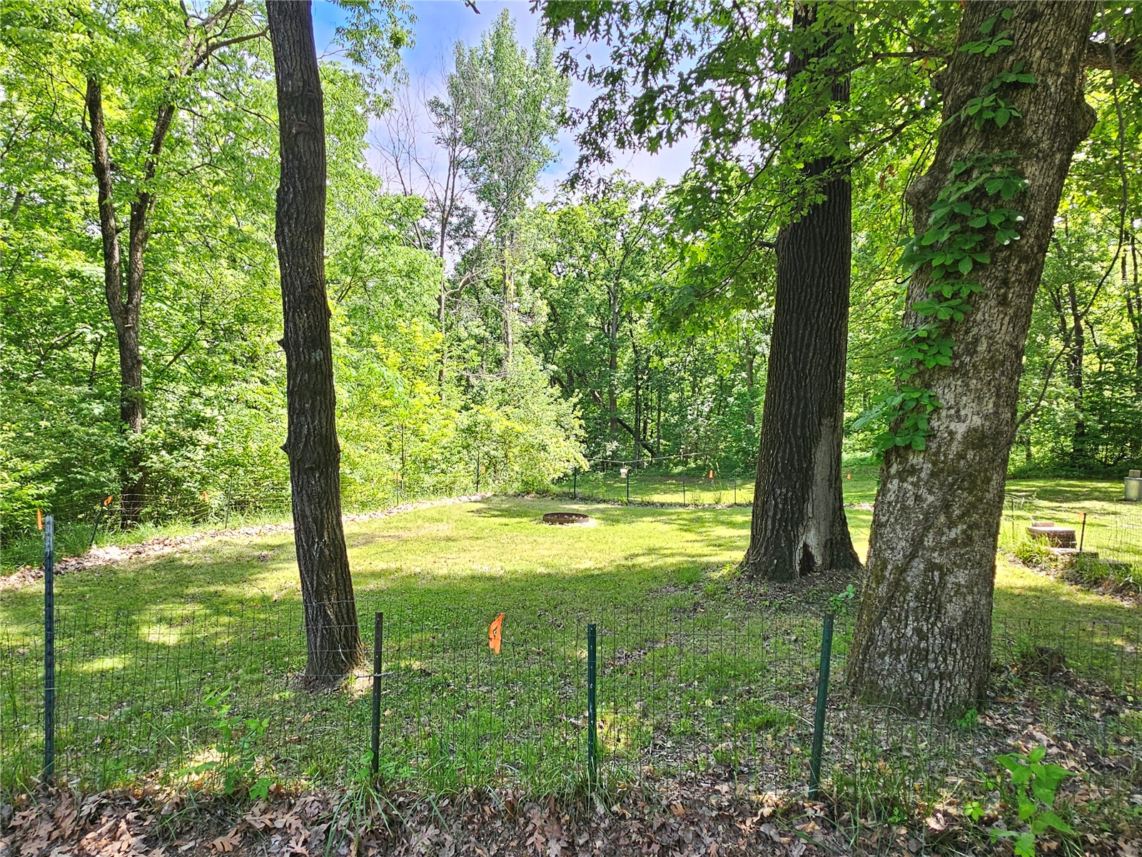 14392 Buffalo Road Anamosa IA 52205