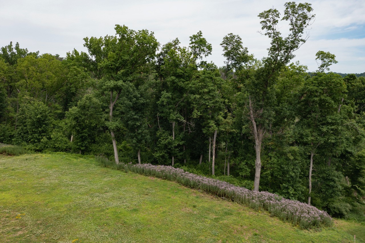 5601 Seminole Valley Trail NE Cedar Rapids IA 52411