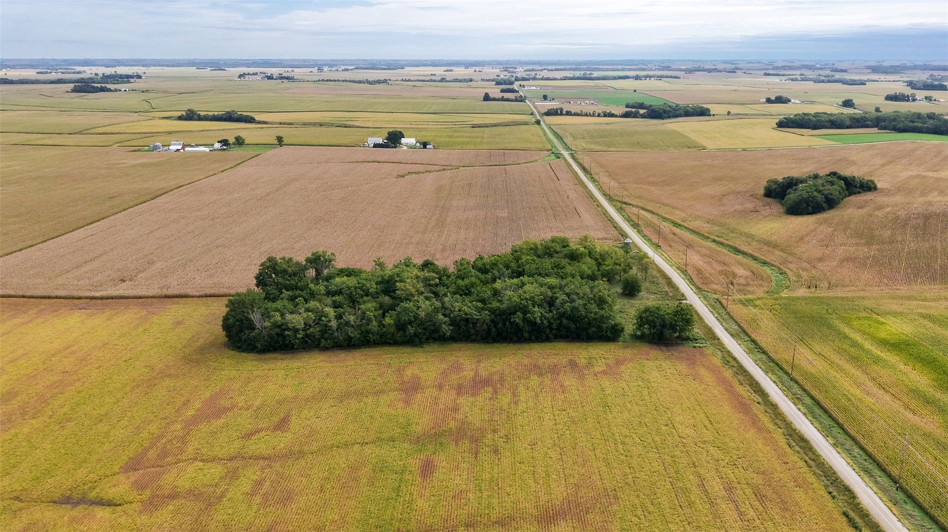2019 Benton Buchanan Road Rowley IA 52329