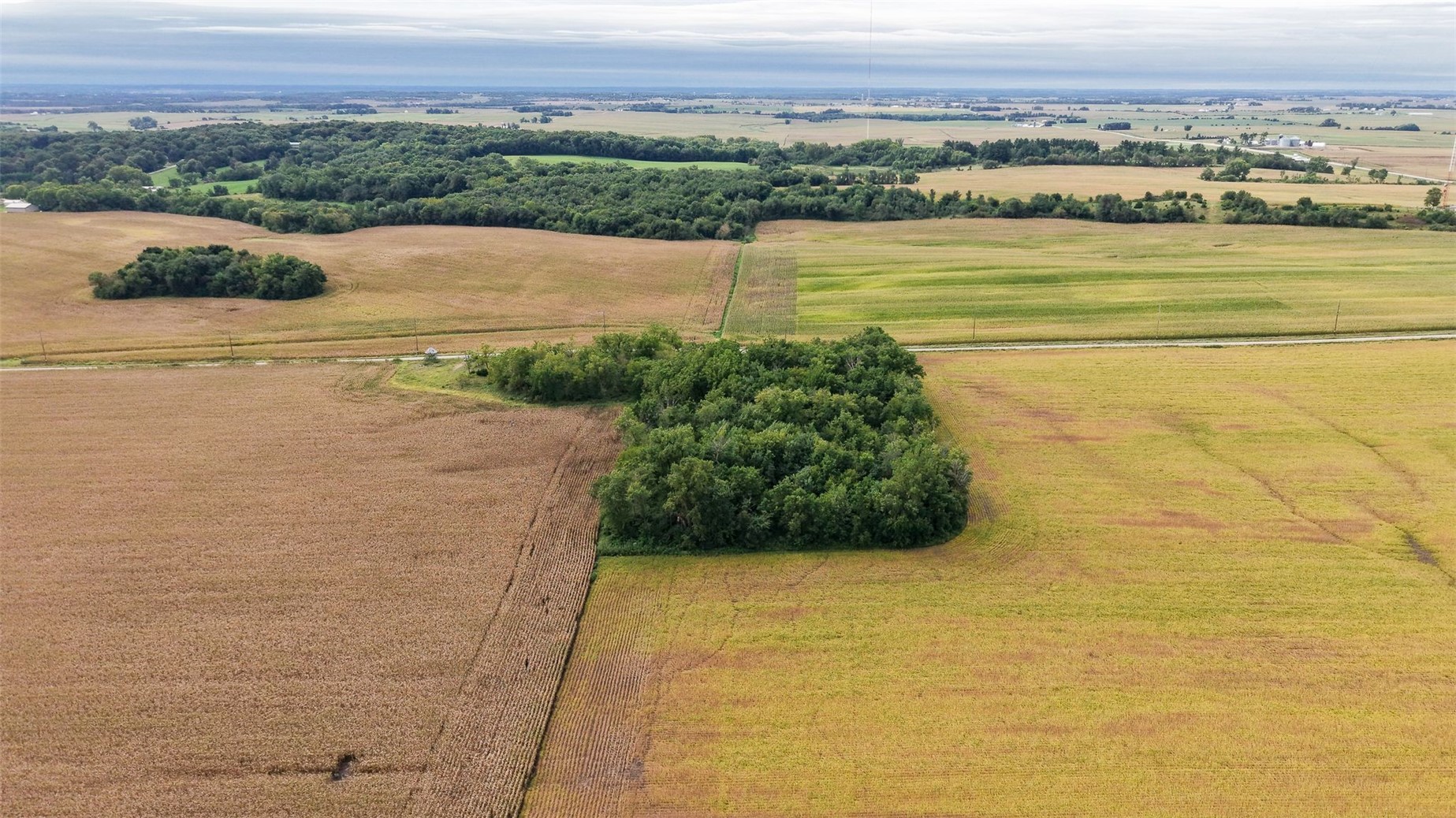 2019 Benton Buchanan Road Rowley IA 52329