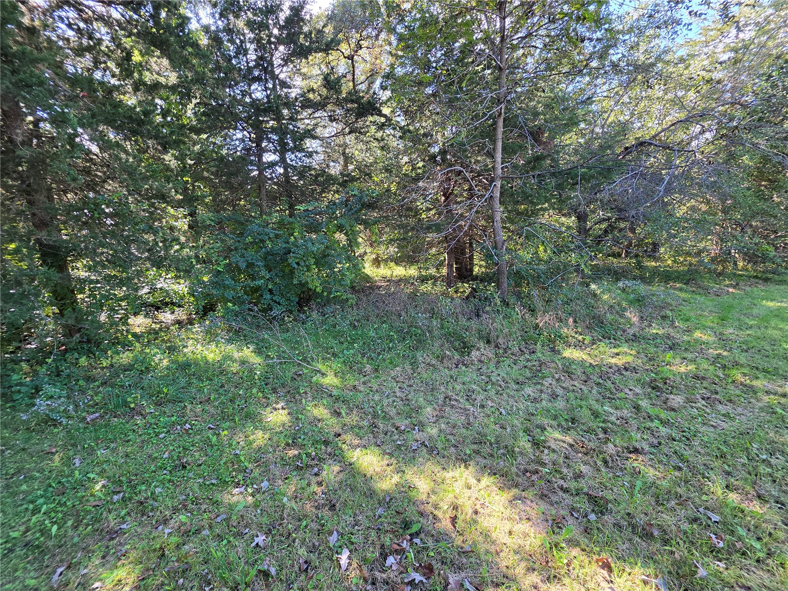 22ND Avenue Vinton IA 52349