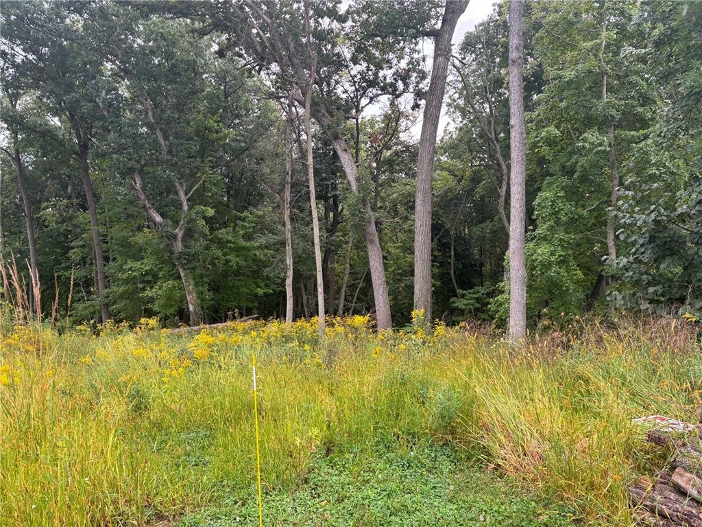 3055 Forrest Hill Court Hiawatha IA 52233