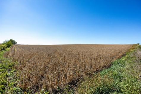 Lots 2w & 2e Holmans Road Mt Vernon IA 52314
