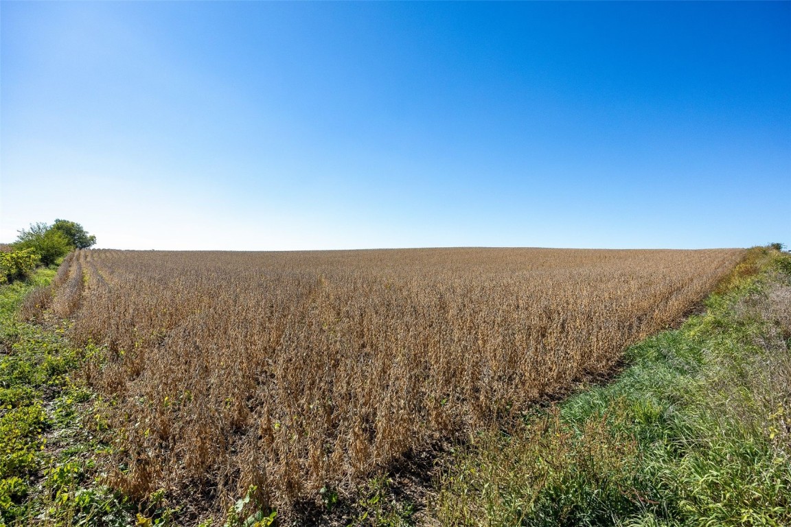 Lots 2w & 1-2e Holmans Road Mt Vernon IA 52314
