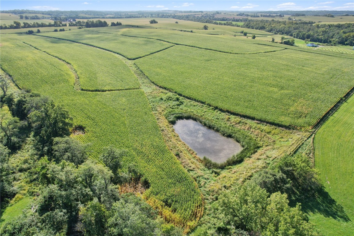 1553 Holmans Road Mt Vernon IA 52314