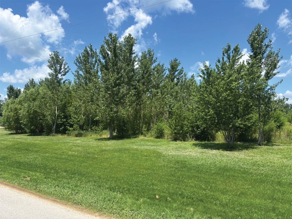 98 1st Street Lowden IA 52255