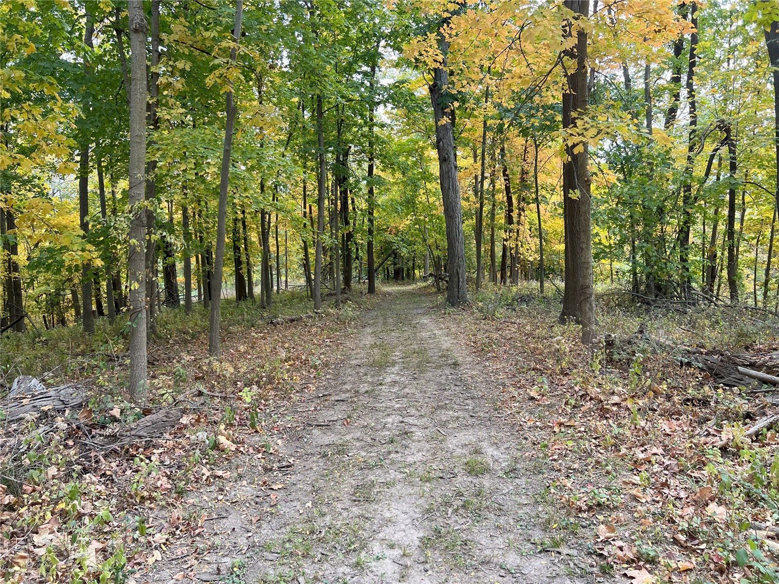 2226 Kestrel Drive SE Cedar Rapids IA 52403
