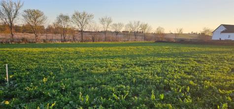Lot 49 Timberline Estates Riverside IA 52327