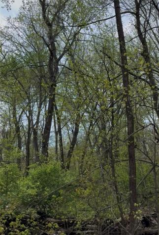 5834 Timber Creek Road Cedar Rapids IA 52411