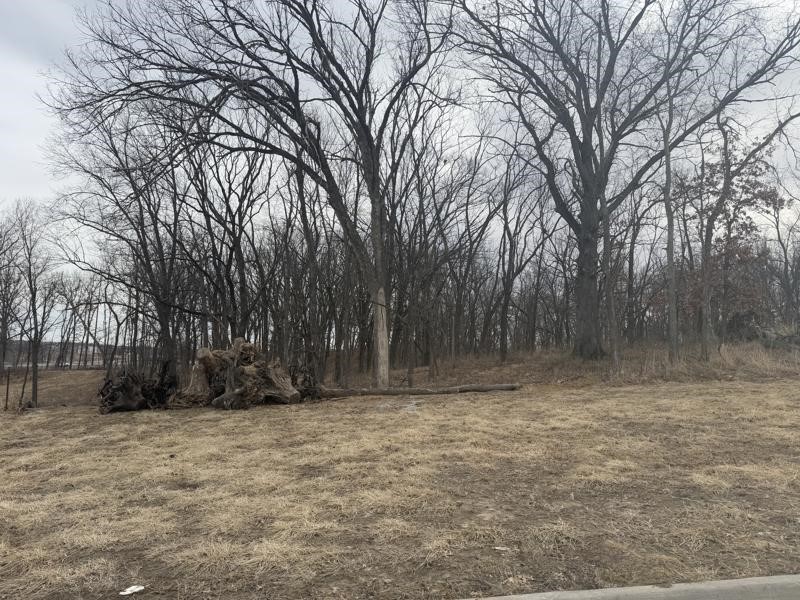 Lot 53 Madden Addition Tiffin IA 52340