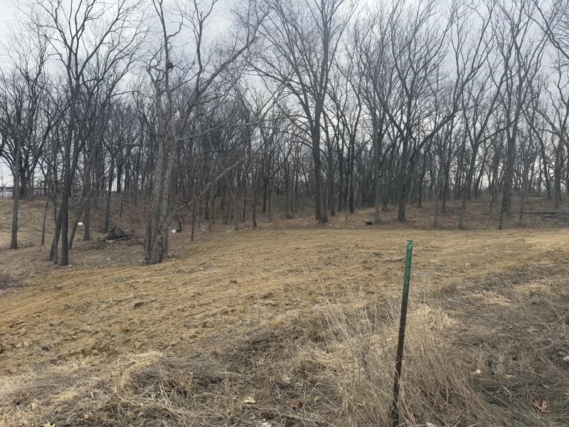 Lot 54 Madden Addition Tiffin IA 52340