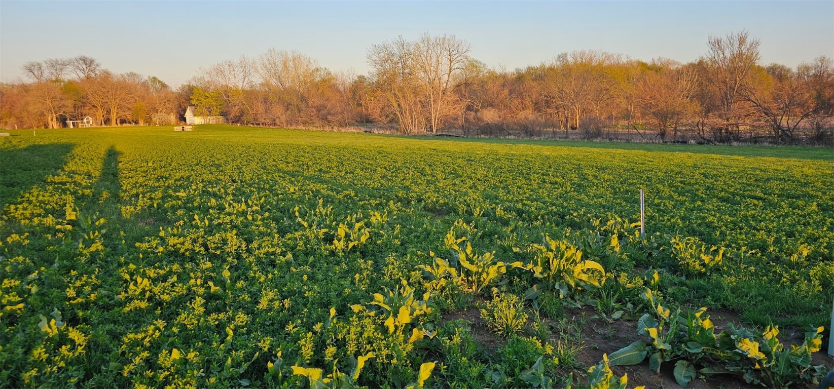 Lot 64 Timberline Estates Riverside IA 52327