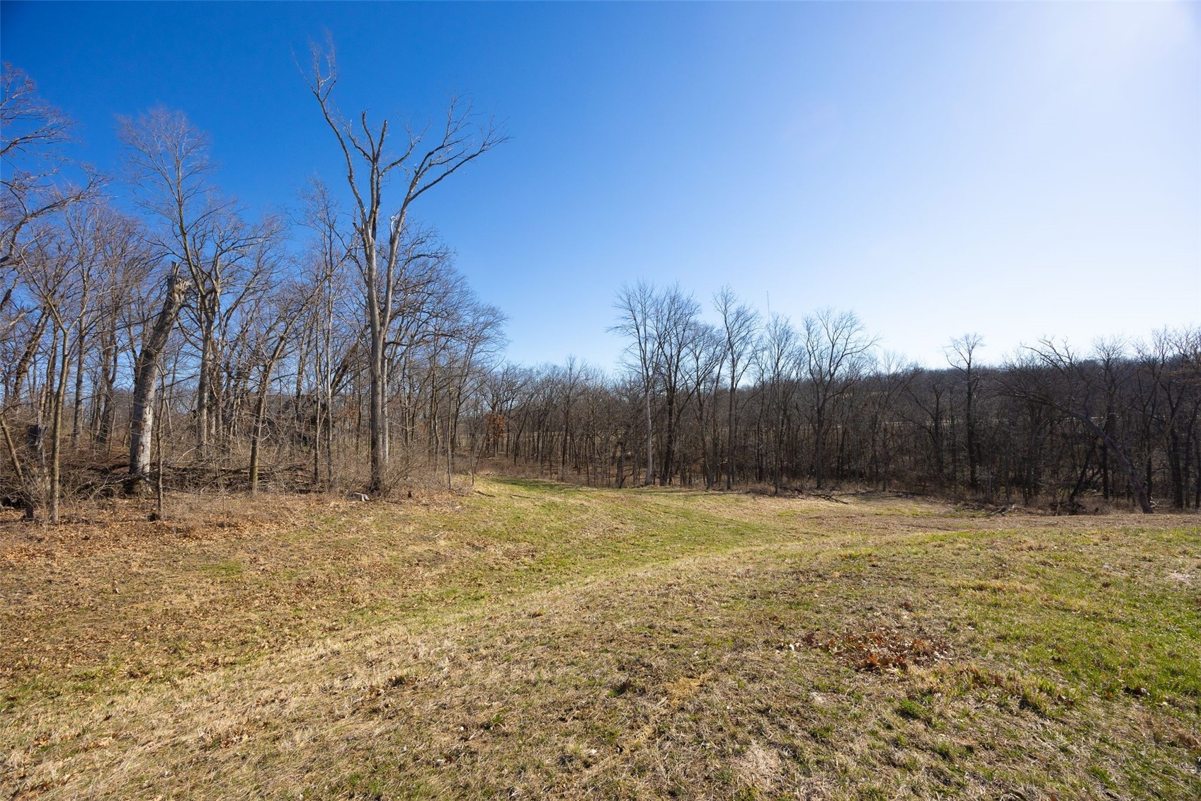 3025 Forrest Meadow Lane Hiawatha IA 52233