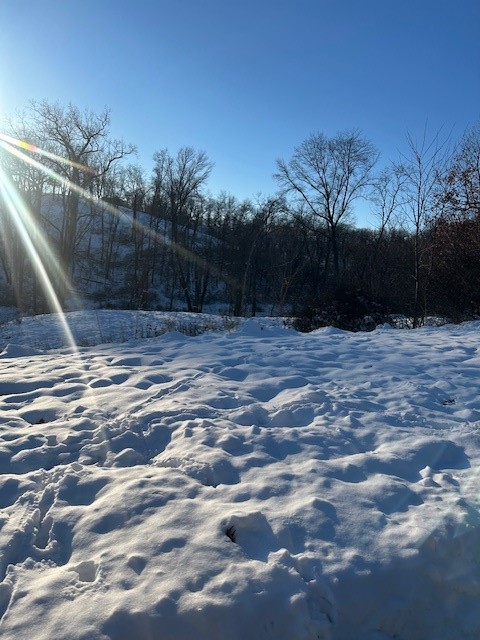 Cedar Rapids IA, 1807 Aspen Circle SE