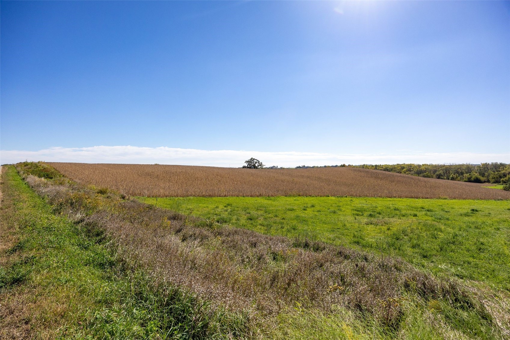 Lot 2w Holmans Road Mt Vernon IA 52314