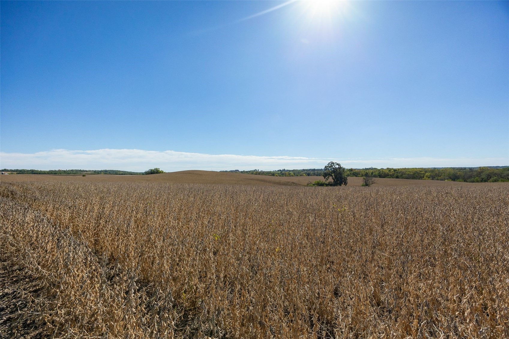Lot 2w Holmans Road Mt Vernon IA 52314