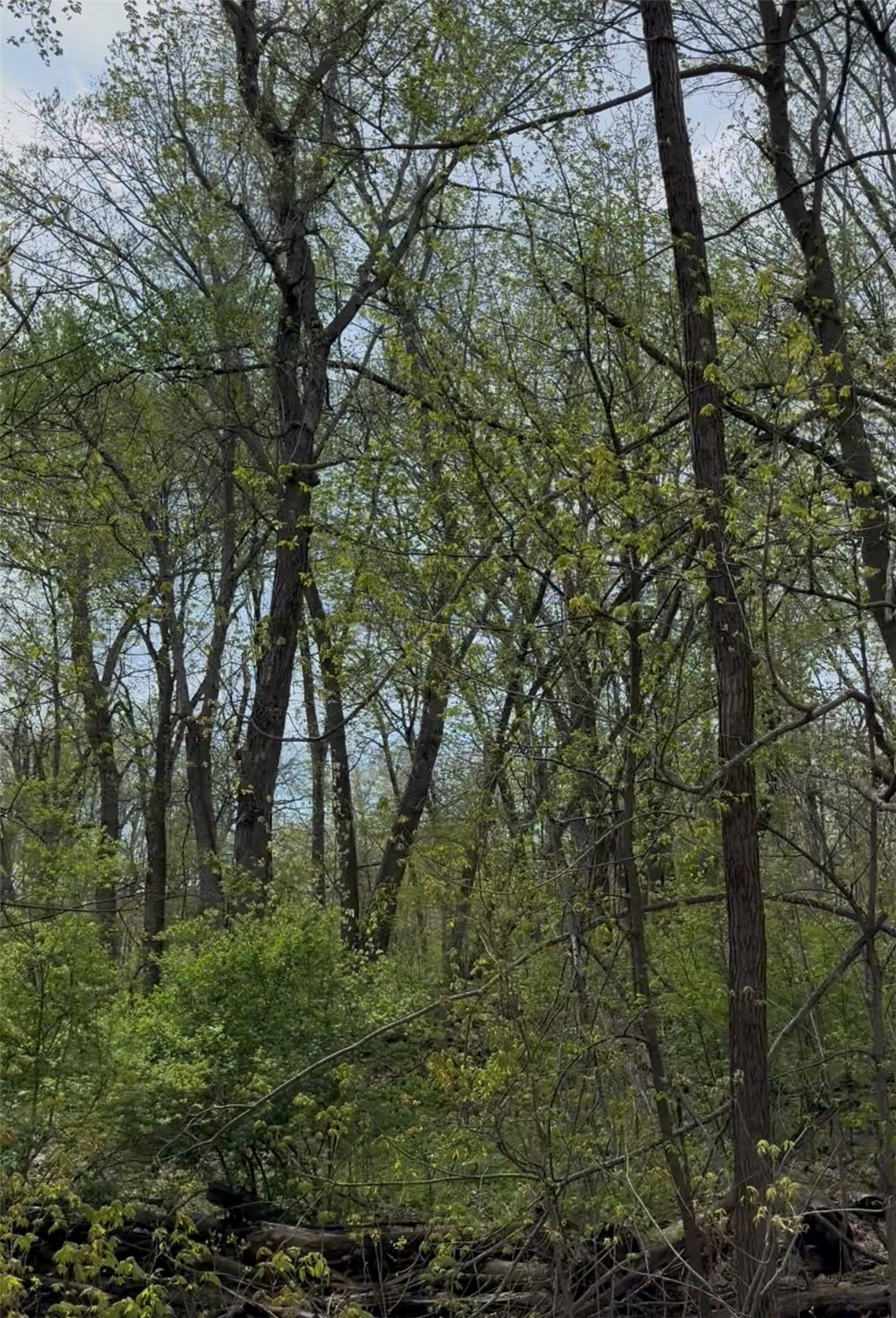 Milburn Road And 5834 Timber Creek Road Cedar Rapids IA 52411