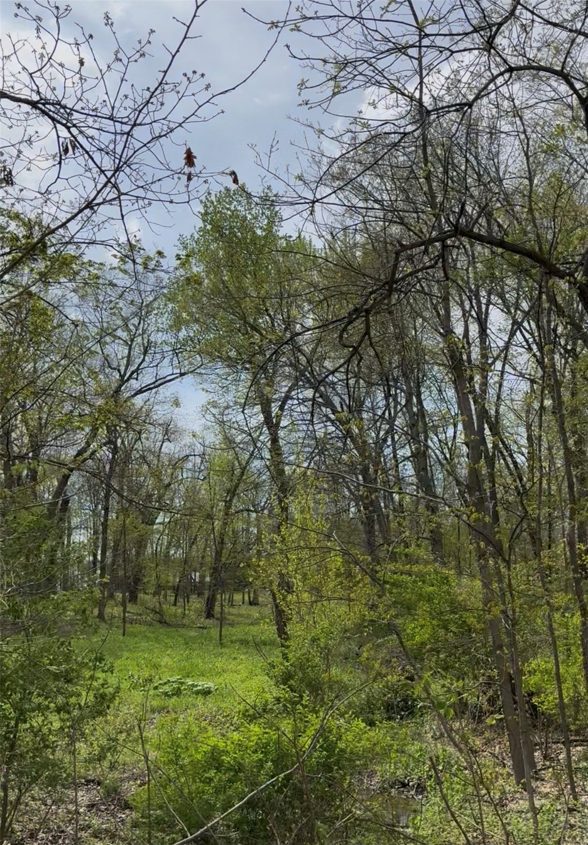 Milburn Road And 5834 Timber Creek Road Cedar Rapids IA 52411