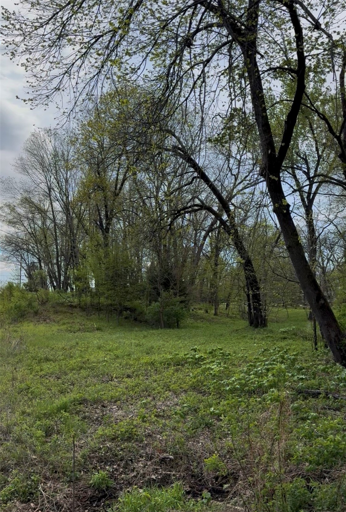Milburn Road And 5834 Timber Creek Road Cedar Rapids IA 52411