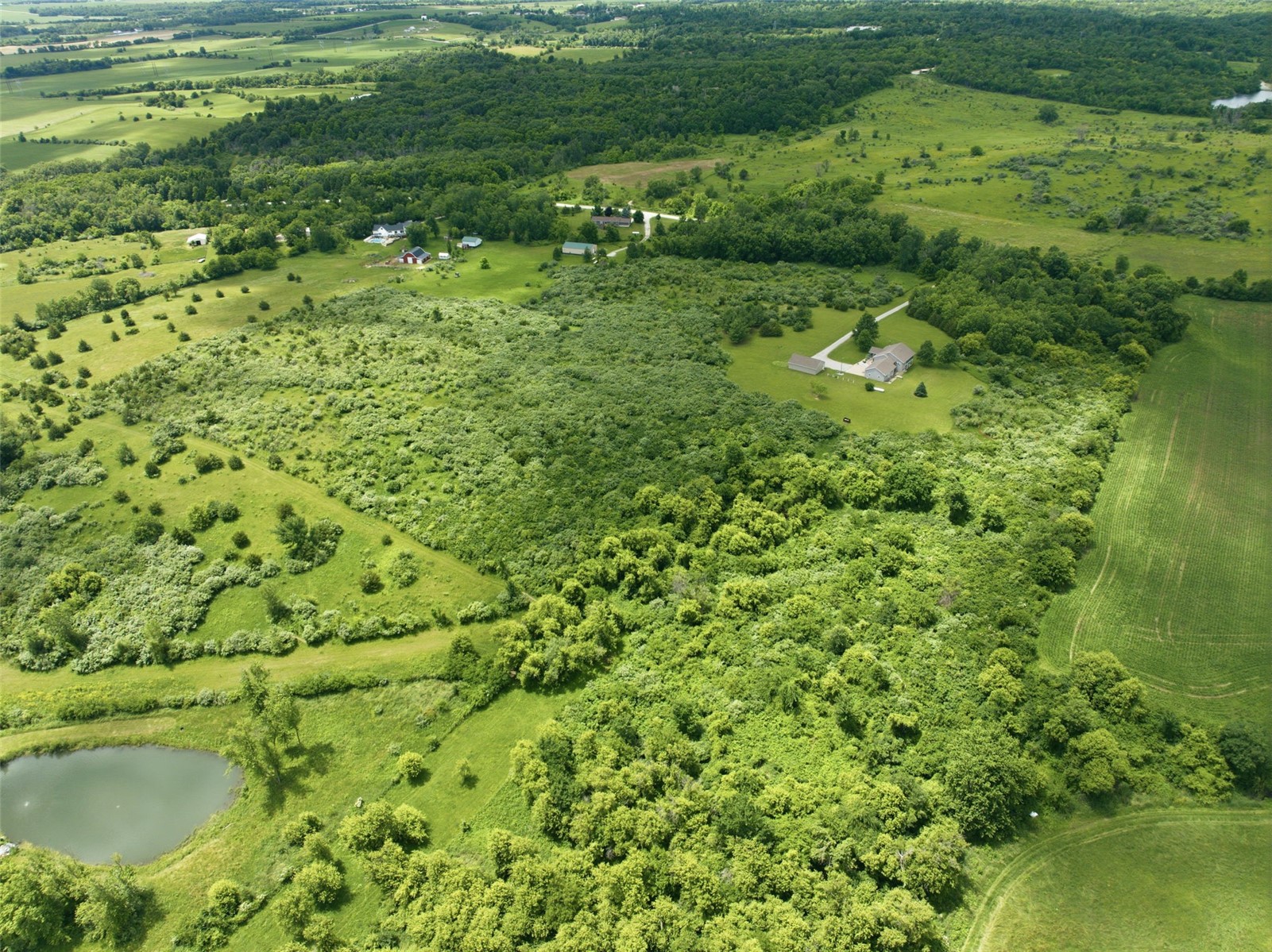 3451 Pleasant Creek Road Palo IA 52324