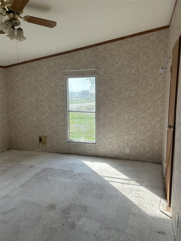 214 Main Street Elberon IA 52225