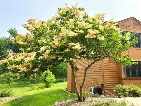 4276 Cottage Grove Parkway SE Cedar Rapids IA 52403
