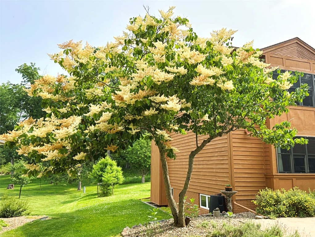 4276 Cottage Grove Parkway SE Cedar Rapids IA 52403