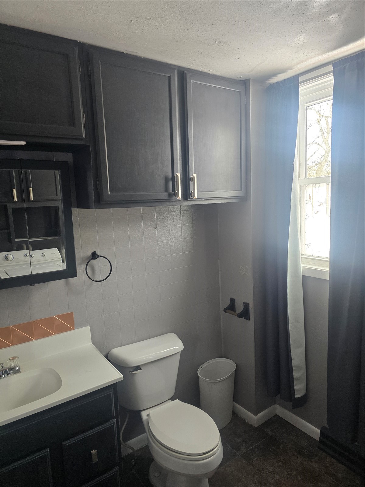 520 Mill Street Toronto IA 52777