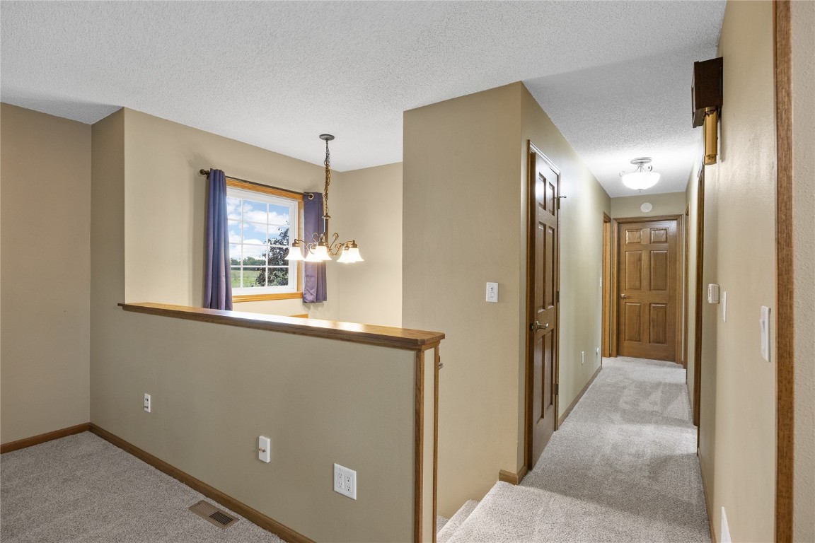 401 Denise Drive Palo IA 52324