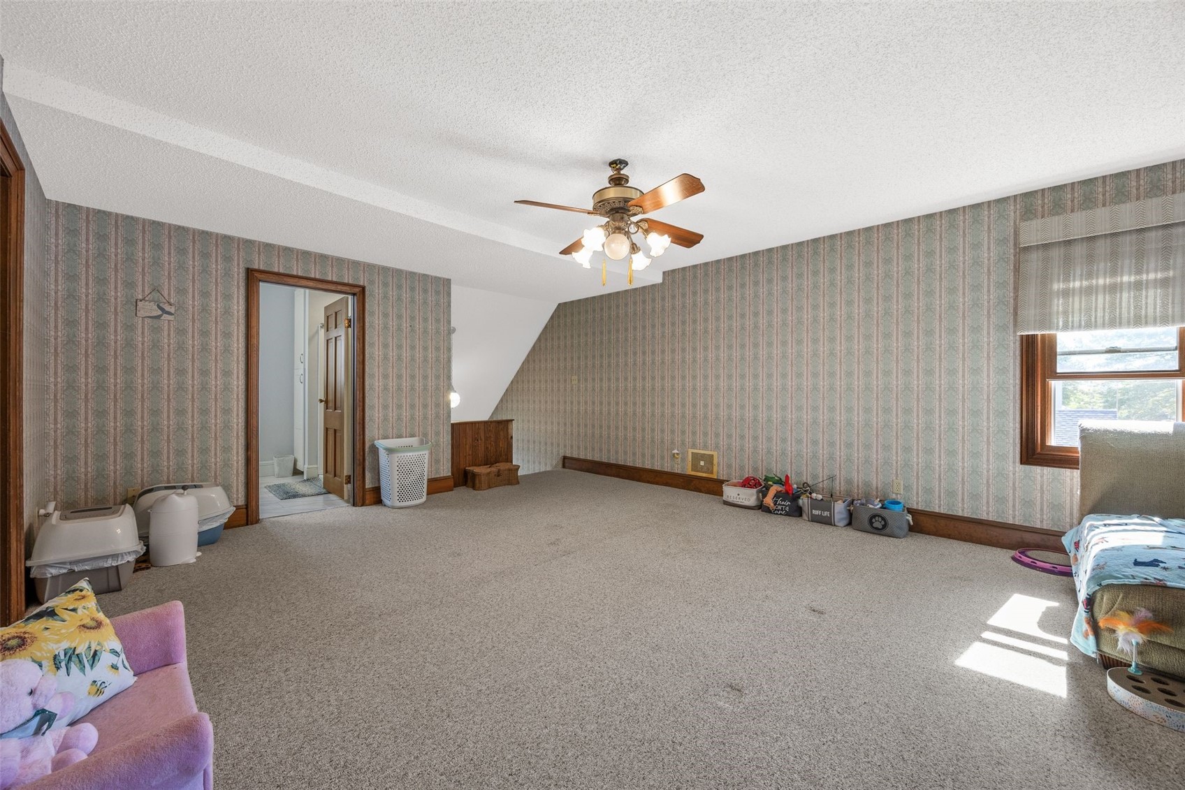 205 S Ford Street Anamosa IA 52205