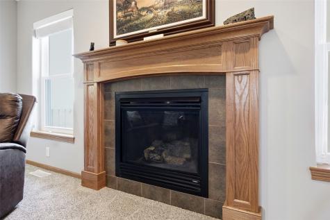 87 Pheasant Avenue Atkins IA 52206